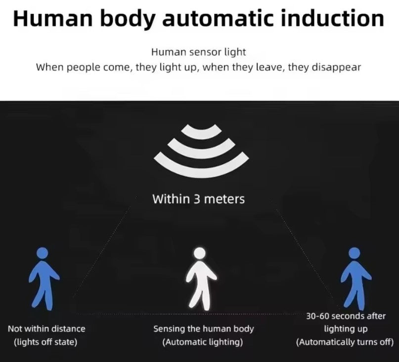 LumiGuard™ Solar Light [Instant Visible Security]