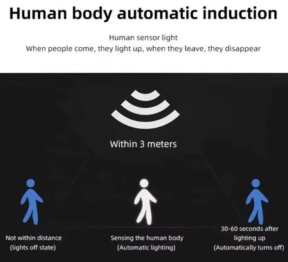 LumiGuard™ Solar Light [Instant Visible Security]